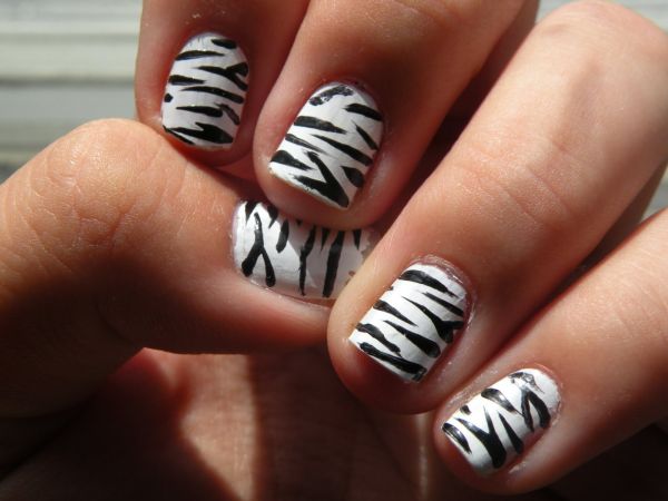 Zebra pattern 3D design