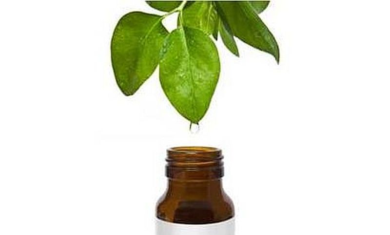 tea tree oil