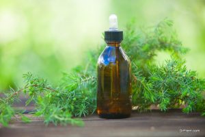 Tea Tree