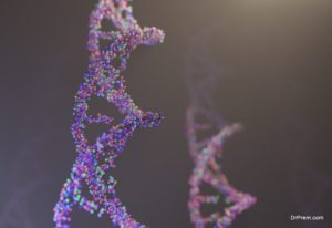 Peptides