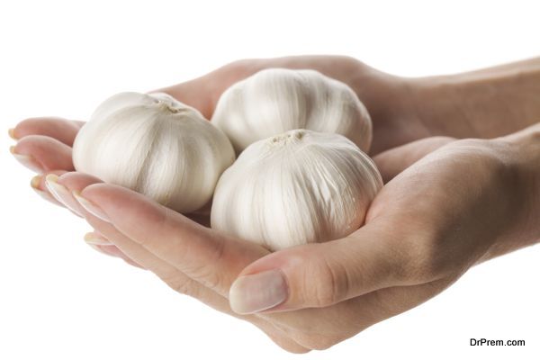 Garlic from Dominion Republic