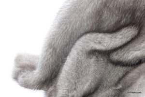Right Fur for the Coat